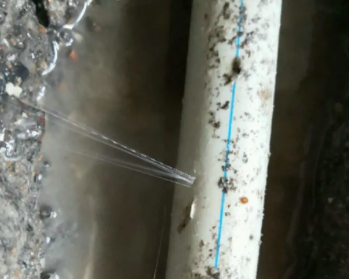 菏泽市卫生间测漏水多少钱