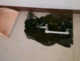 菏泽市卫生间测漏水多少钱